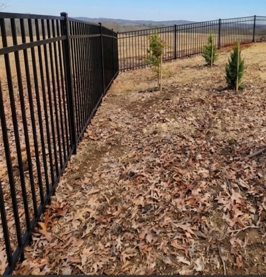Black metal fence